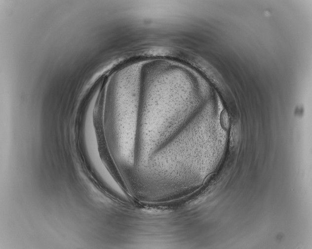 X0000091100722200709041322