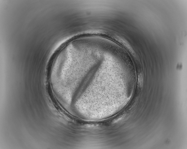 X0000091100724200709041322