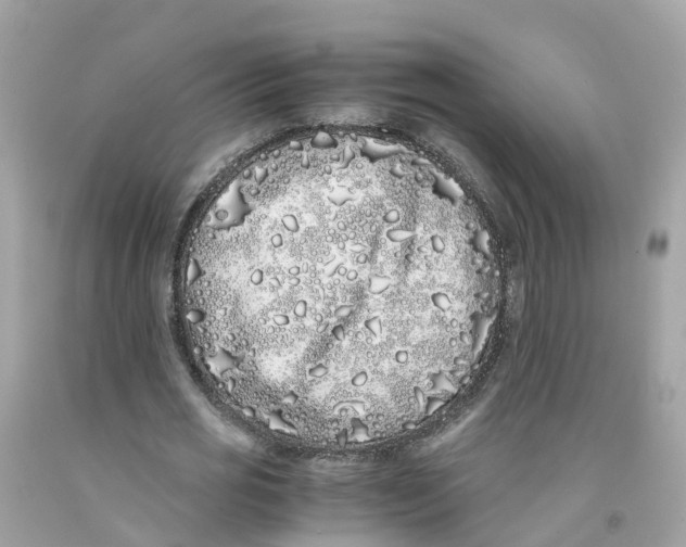 X0000091100725200709041322