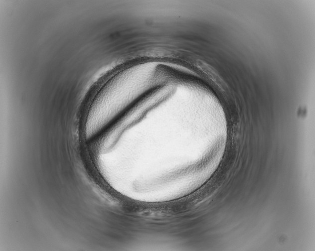 X0000091100727200709041322