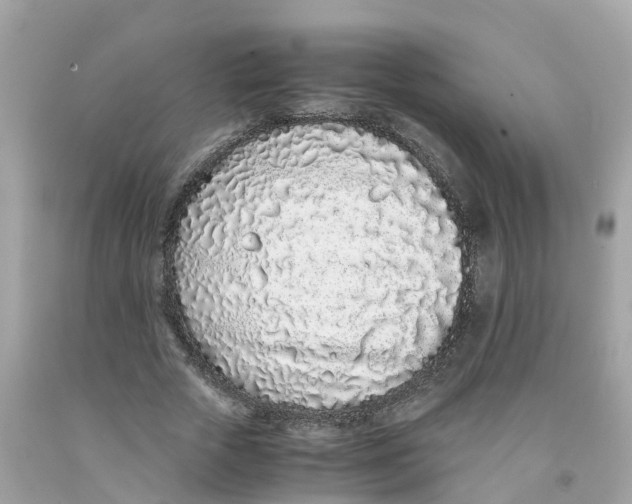 X0000091100729200709041322