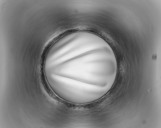 X0000091100730200709041322