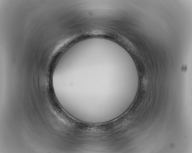 X0000091100732200709041322