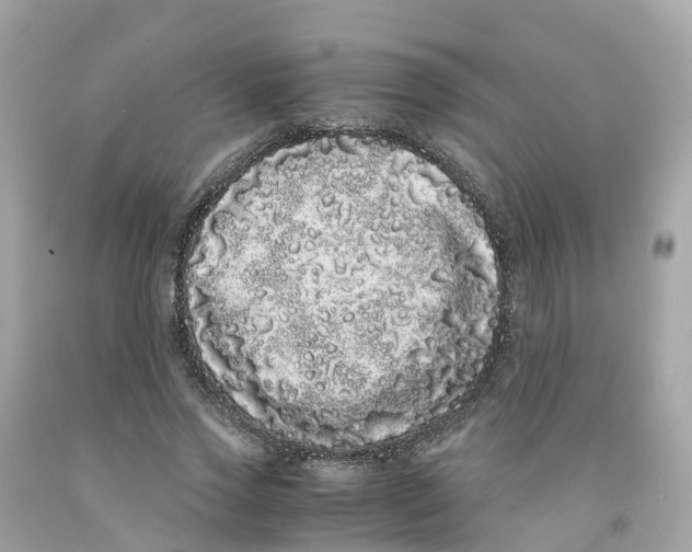 X0000091100733200709041322