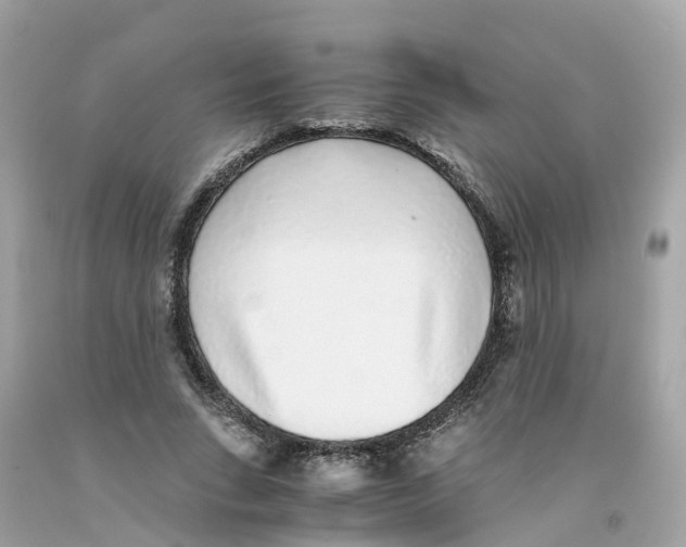 X0000091100735200709041322