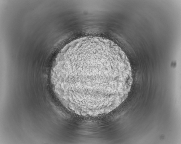 X0000091100737200709041322