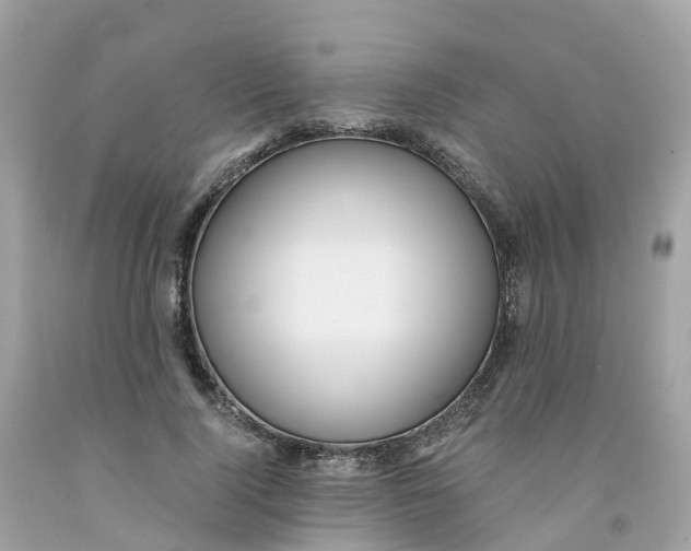 X0000091100740200709041322