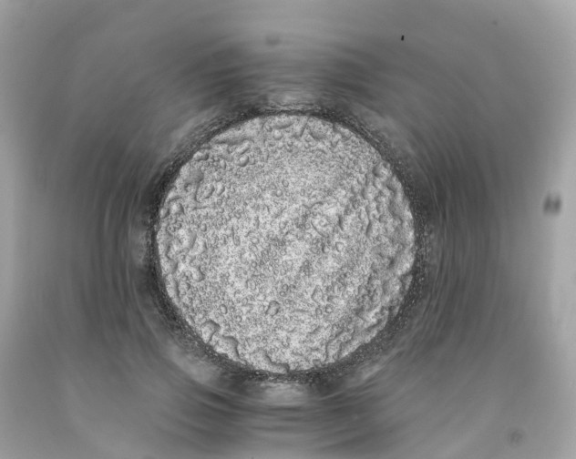 X0000091100741200709041323