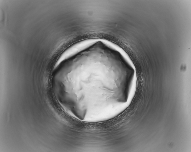 X0000091100742200709041323