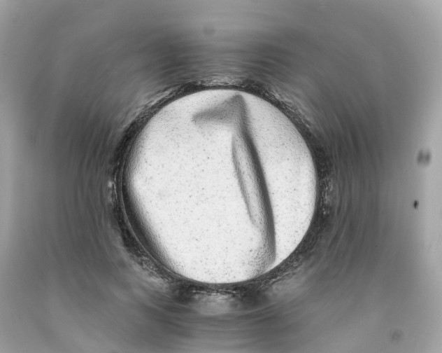 X0000091100743200709041323