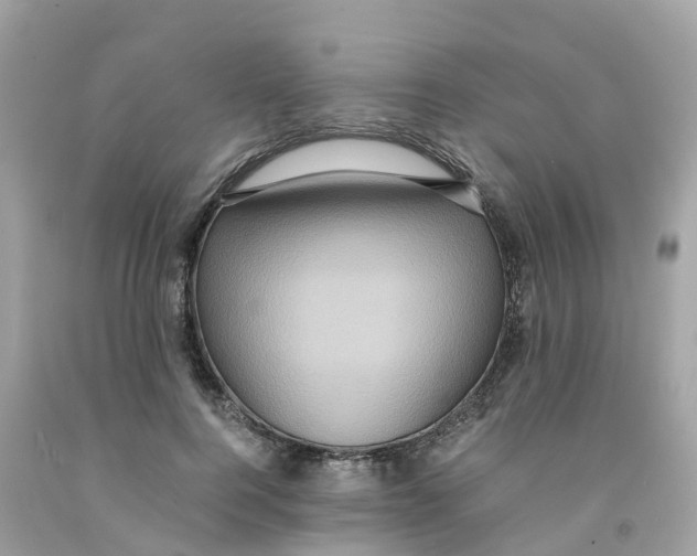 X0000091100744200709041323