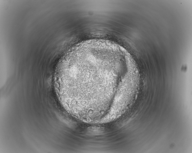 X0000091100745200709041323