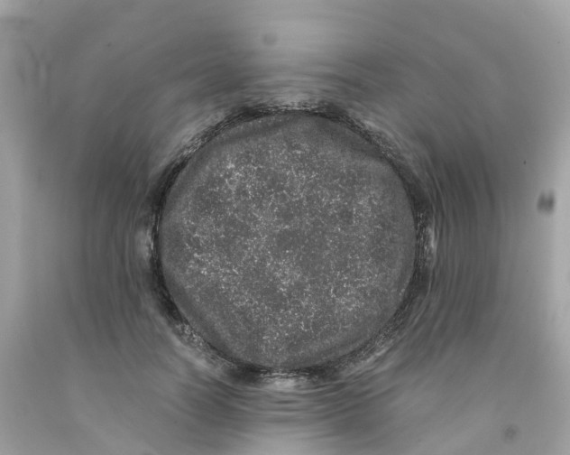 X0000091100746200709041323