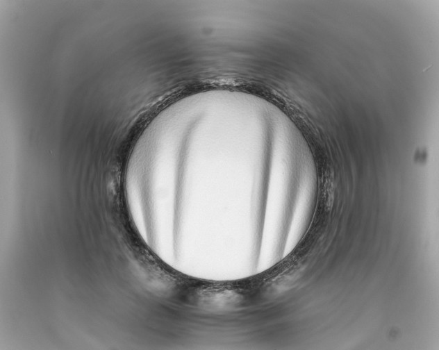 X0000091100747200709041323