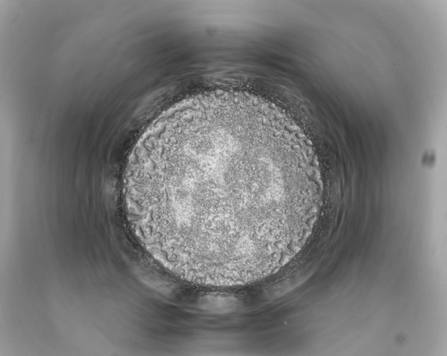 X0000091100749200709041323