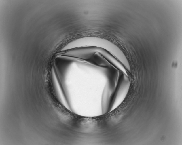 X0000091100750200709041323