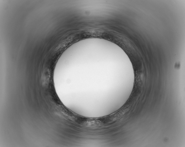 X0000091100752200709041323