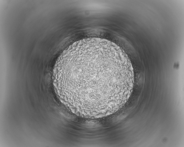 X0000091100753200709041323