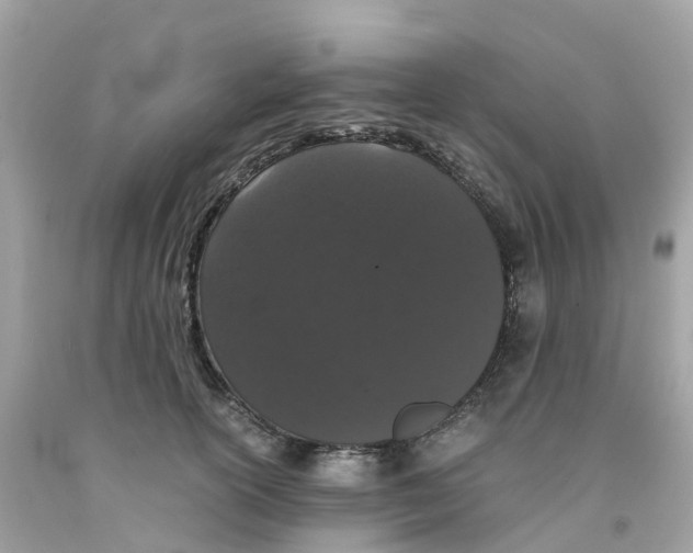 X0000091100754200709041323