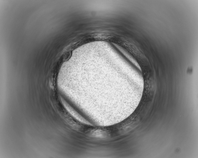 X0000091100755200709041323