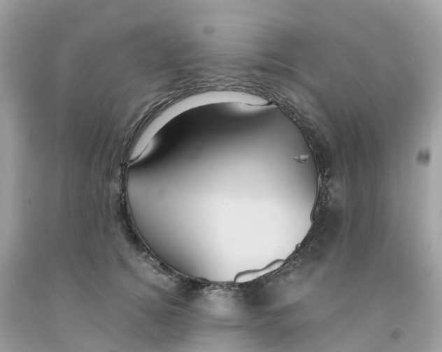 X0000091100756200709041323