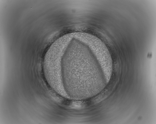 X0000091100757200709041323