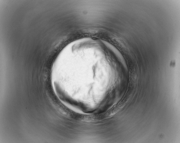 X0000091100758200709041323