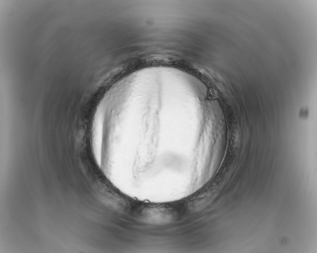 X0000091100759200709041323