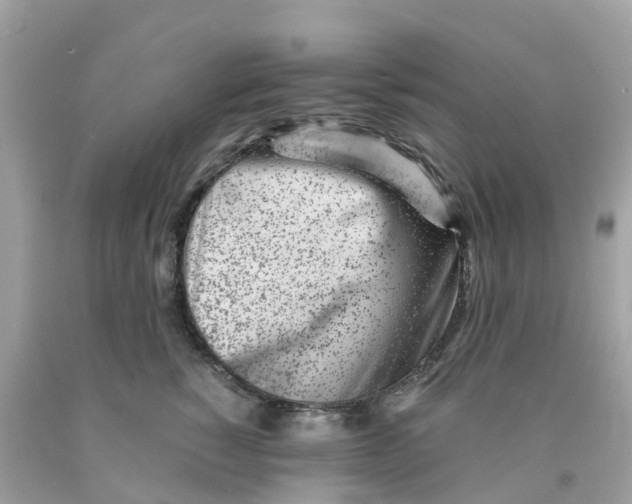 X0000091100760200709041323