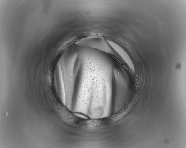 X0000091100762200709041323