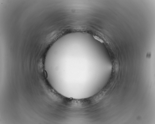 X0000091100764200709041323