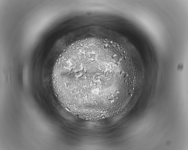 X0000091100765200709041323