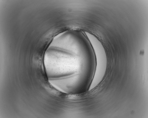 X0000091100766200709041323