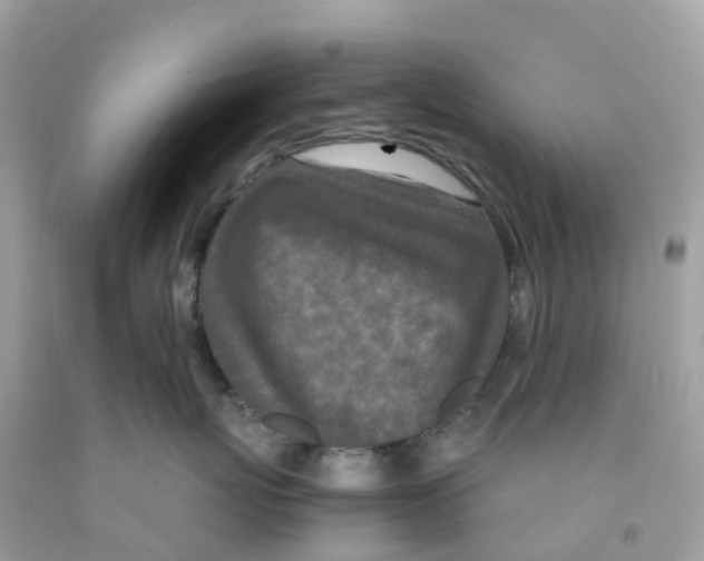 X0000091100767200709041323