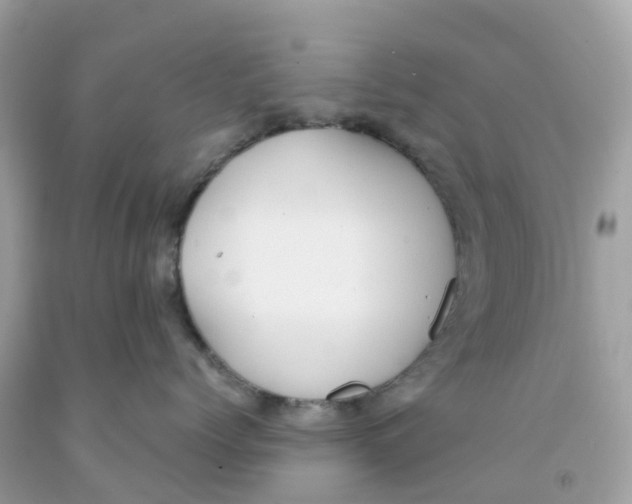 X0000091100768200709041323