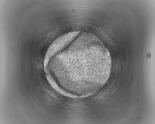 X0000091100770200709041322