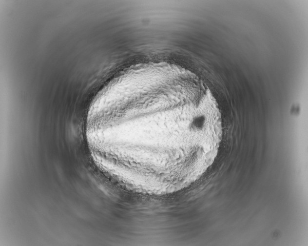 X0000091100772200709041322