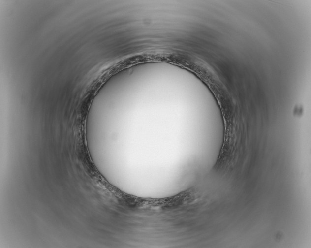 X0000091100773200709041322