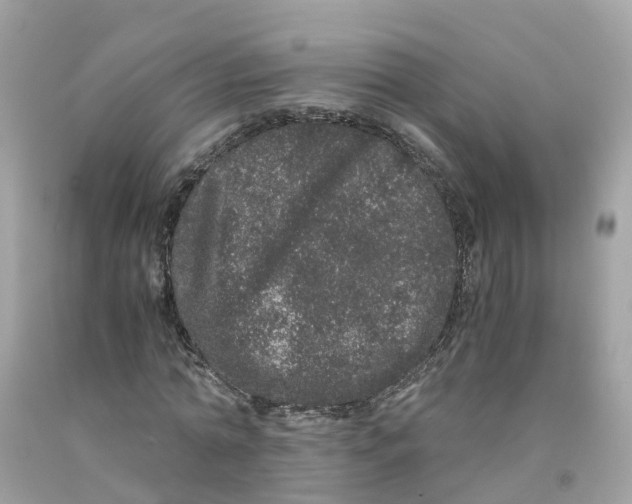 X0000091100774200709041322