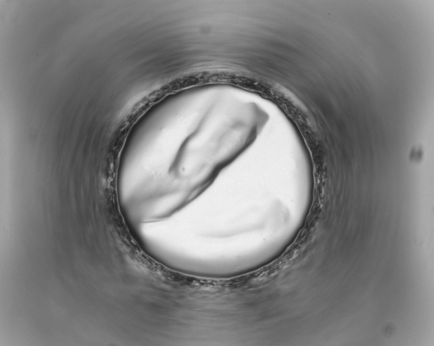 X0000091100775200709041322