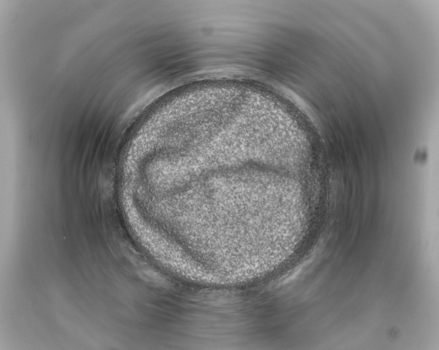 X0000091100778200709041322