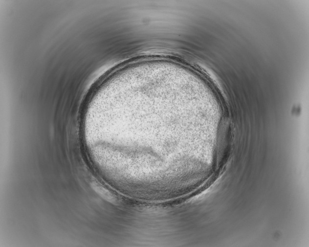 X0000091100779200709041322