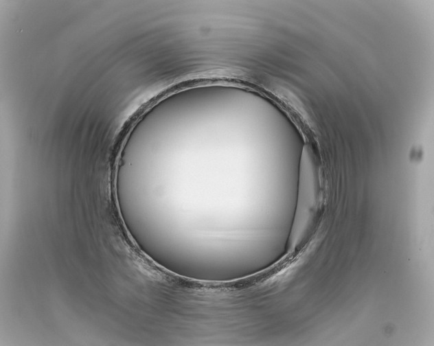 X0000091100781200709041322