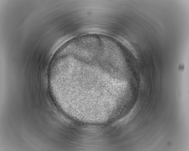 X0000091100782200709041322