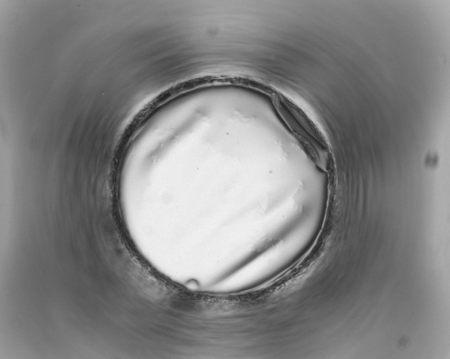 X0000091100783200709041322