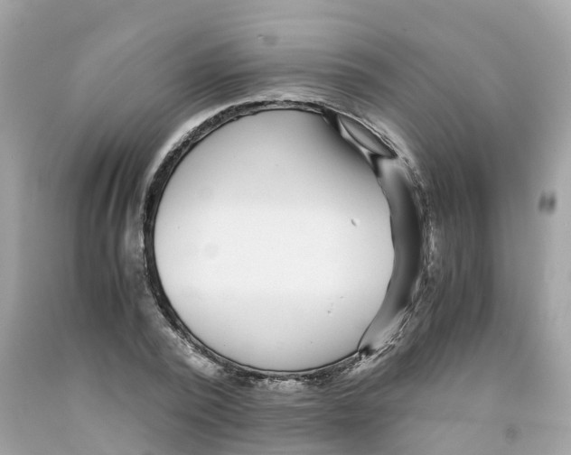 X0000091100784200709041322