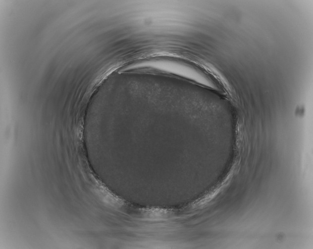 X0000091100785200709041322