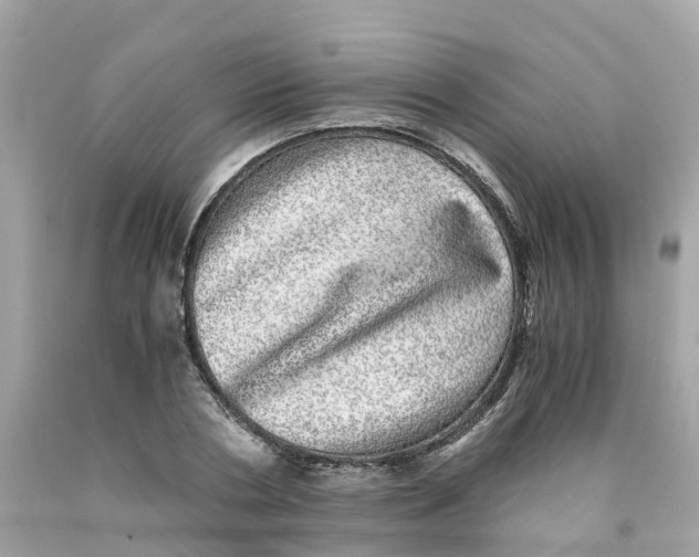 X0000091100786200709041322