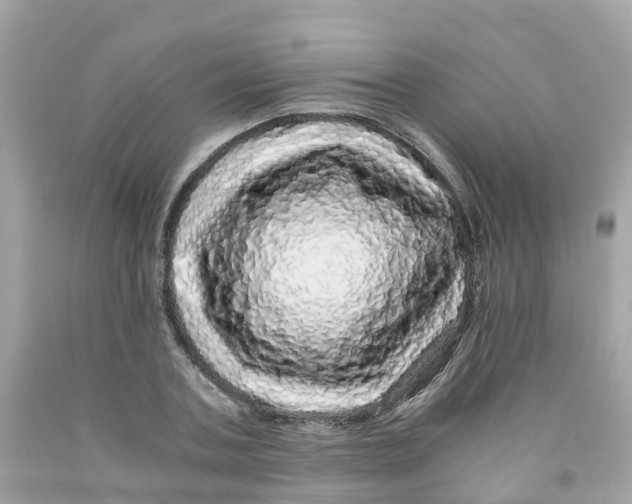 X0000091100787200709041322