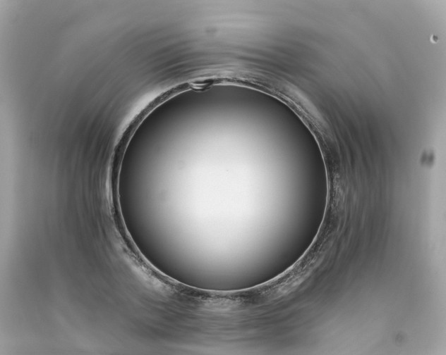 X0000091100788200709041322